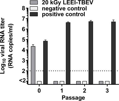 Low-Energy Electron Irradiation of Tick-Borne Encephalitis Virus Provides a Protective Inactivated Vaccine